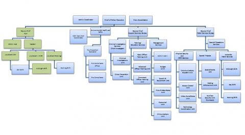 DPS Organizational Chart